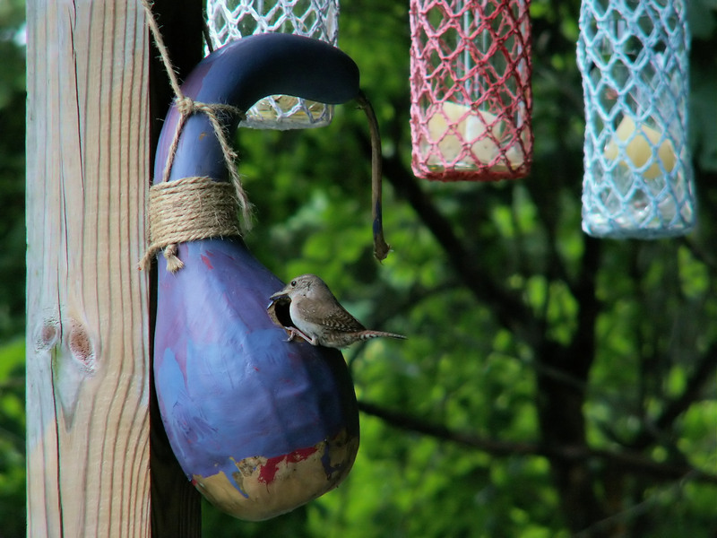 waste disposal Waste