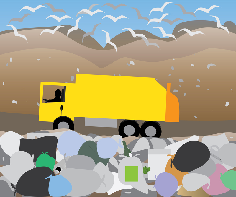 Fostering Environmental Awareness Through Recycling